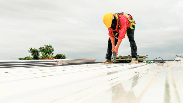 Best Skylight Installation and Repair  in Panorama Village, TX