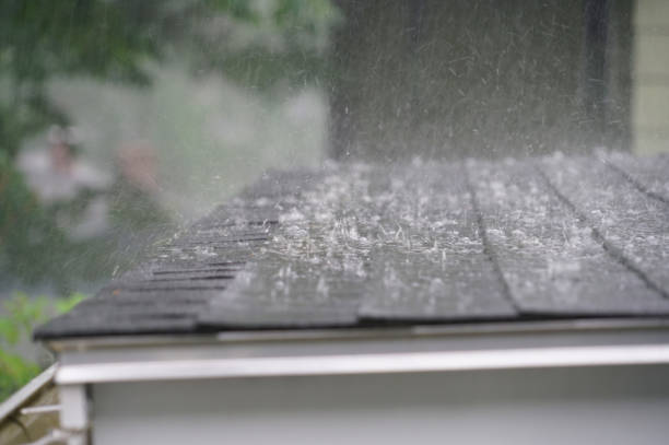 Best Roof Moss and Algae Removal  in Panorama Village, TX
