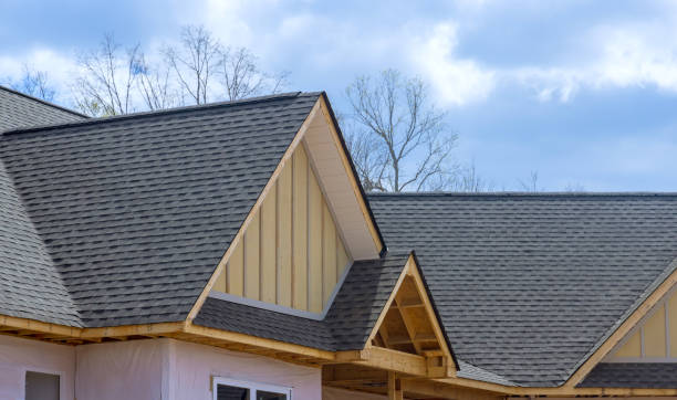 Best Roof Maintenance and Cleaning  in Panorama Village, TX